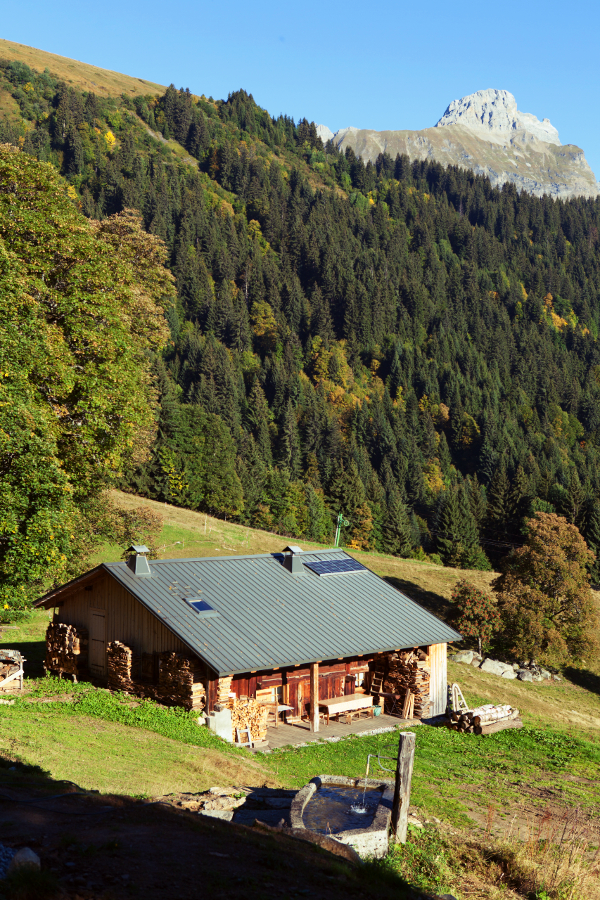 L'alpage de l'herney